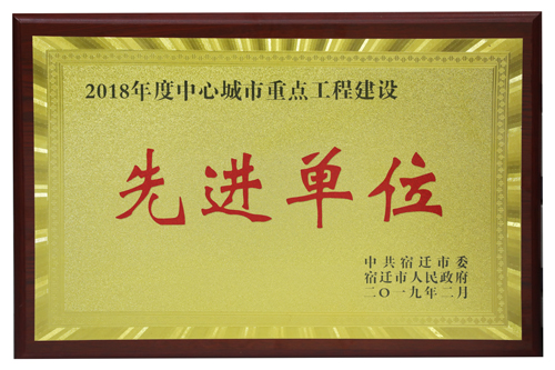 2018年度中心城市重点工程建设先进单元