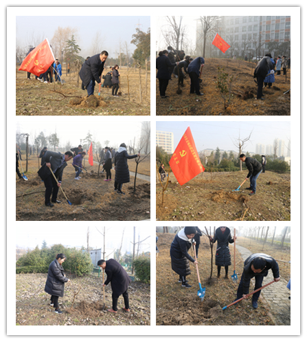 cf409707a20aad63343a4fe6bdd3ccab 图片3.png